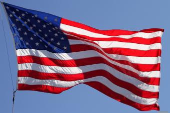 США выделили $11,4 млн. на проведение выборов Президента в Украине