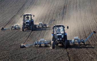 Ukrainian Agrarians Increase Export to EU by Quarter