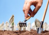 В ФАО объяснили, почему аграрные дотации достались не всем