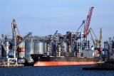 Экологическая инспекция собирает "дань" в украинских портах