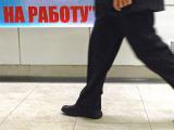 Мінсоцполітики готує нову програму працевлаштування