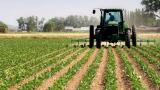 Фермери зможуть отримати держдопомогу вже в другому півріччі