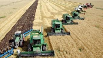 Mass Media: Government to Support Russian AIC with Internet Technologies