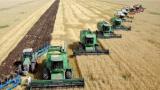 Mass Media: Government to Support Russian AIC with Internet Technologies