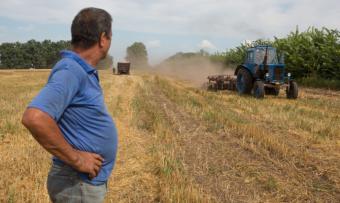 Аграрії отримають дотації на 4,55 мільярда гривень