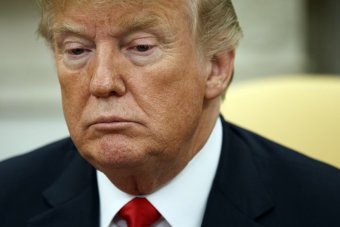 Трамп відклав зустріч з Путіним - ЗМІ