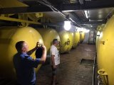 ДФС продовжує обшуки на спиртзаводах