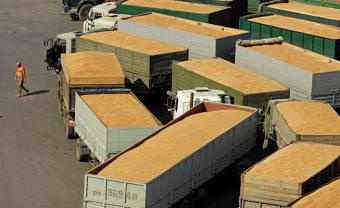 Турция приостановила беспошлинный ввоз российской пшеницы и кукурузы
