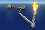 Збільшення видобутку власного газу і політика енергоефективності дозволять забезпечити енергетичну незалежність України