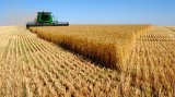 В АПК розікрали 2 млрд грн &mdash; НАБУ