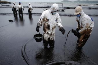 Нефтегазовую BP оштрафуют на $13,7 млрд за разлив нефти в Мексиканском заливе