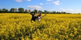 Рада оставила трейдеров без возмещения экспортного НДС на масличные