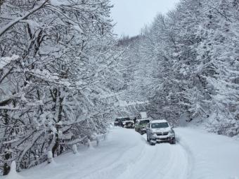 ДАЇ радить водіям не виїжджати на власних авто у вихідні