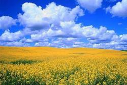 International rating agency Standard &amp; Poor&rsquo;s reduced the rating of Ukraine to CCC +/C