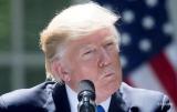 На Трампа позиваються більше 190 конгресменів