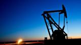 Ціни на нафту трохи зросли