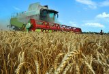 ЄБРР виділить $5 млн аграріям