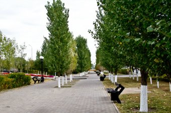 В столице Казахстана Астане заявили о необходимости создания паспортов деревьев