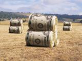 Кутовий: мораторій на продаж землі нашвидкоруч не зніматимуть