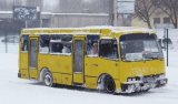 В Киеве нашли десять нелегальных автобусных перевозчиков