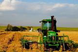 Аграрії отримали збитки на 25,26 млрд грн