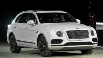 Bentley випустить машину для веганів