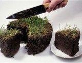 Мораторій на продаж землі &laquo;поставили на паузу&raquo;