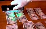 Чиновники ветеринарної медицини організували у порту Одеси механізм з вимагання хабарів