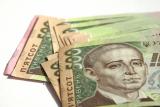 С начала 2015 г. в бюджет уплачено 86,5 млрд. грн. ЕСВ