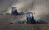 В Україні порахували неформально зайняте населення