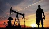 Цена российской нефти за год упала почти на 20%