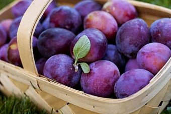 В Україні злетіли ціни на сливи