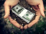 В ГФС рассказали о налоговых преступлениях в агросфере
